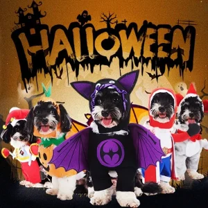 Pet Halloween Cute Costume