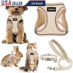 No Pull Step-in Pet Harness Leash Collar Set